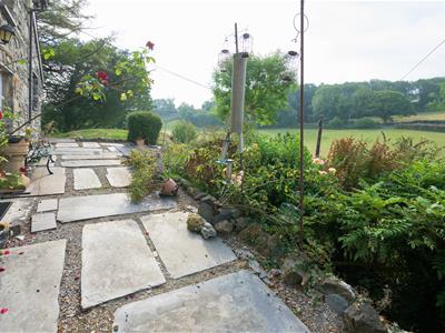 Picture 35